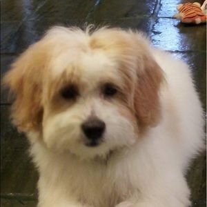 Meet your Posher, Sonia